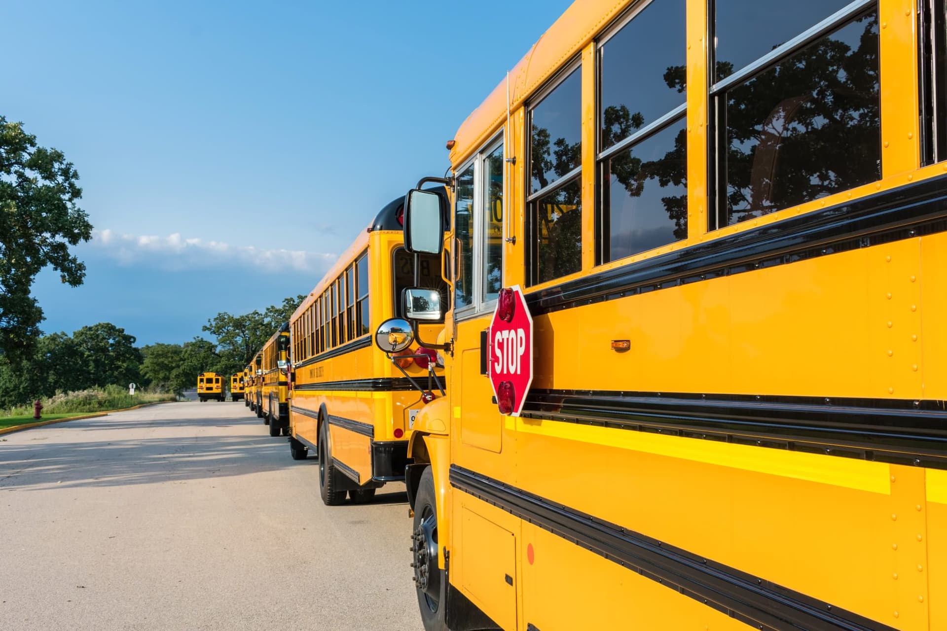 A long line of yellow school buses parked nose to tail in a lot, the nearest one's stop sign folded against its side