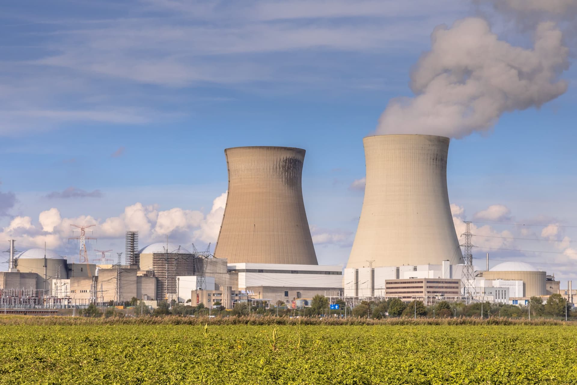A nuclear power plant with two cooling towers, reactor domes and transmission pylons, seen across a green field